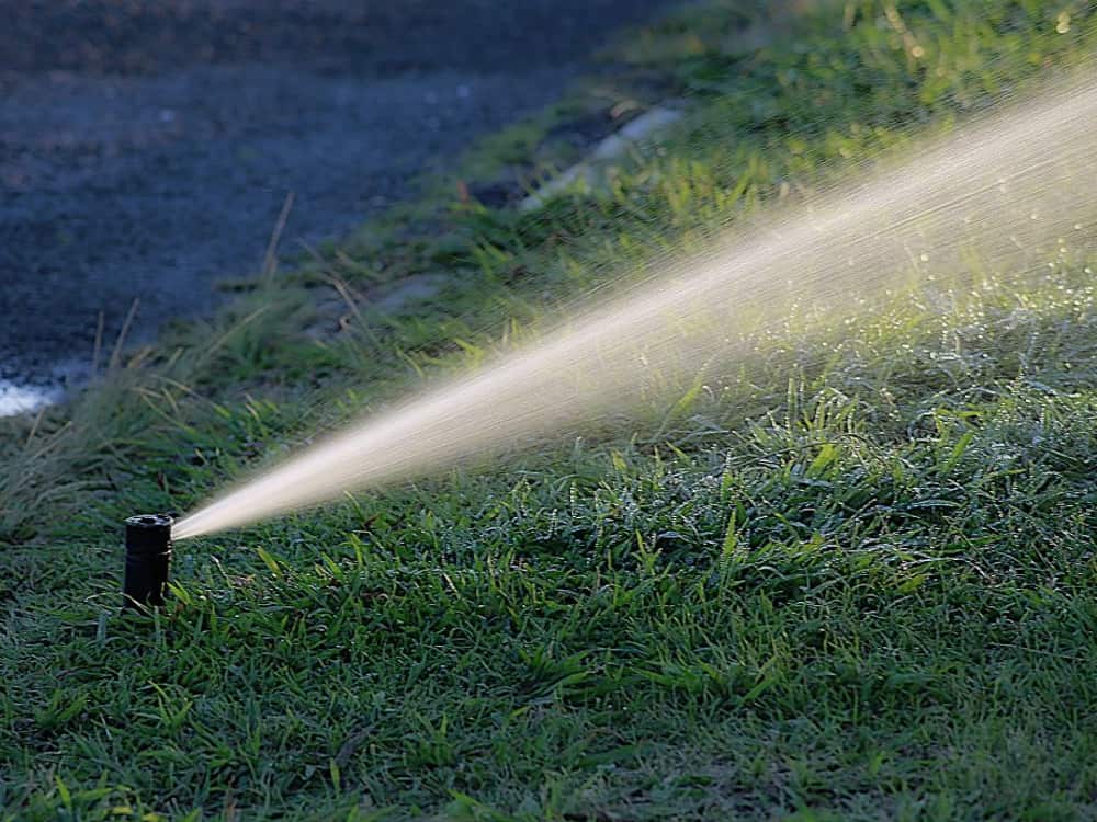Irrigation sprinkler head spraying across a lawn